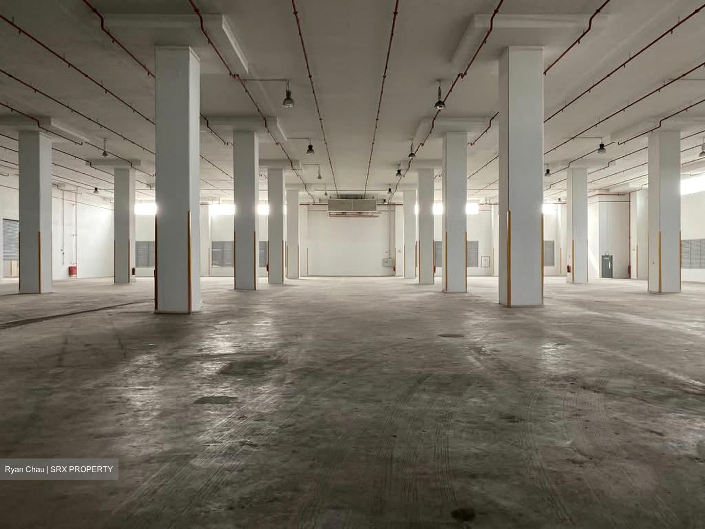 Expo Drive (D16), Warehouse #554260321